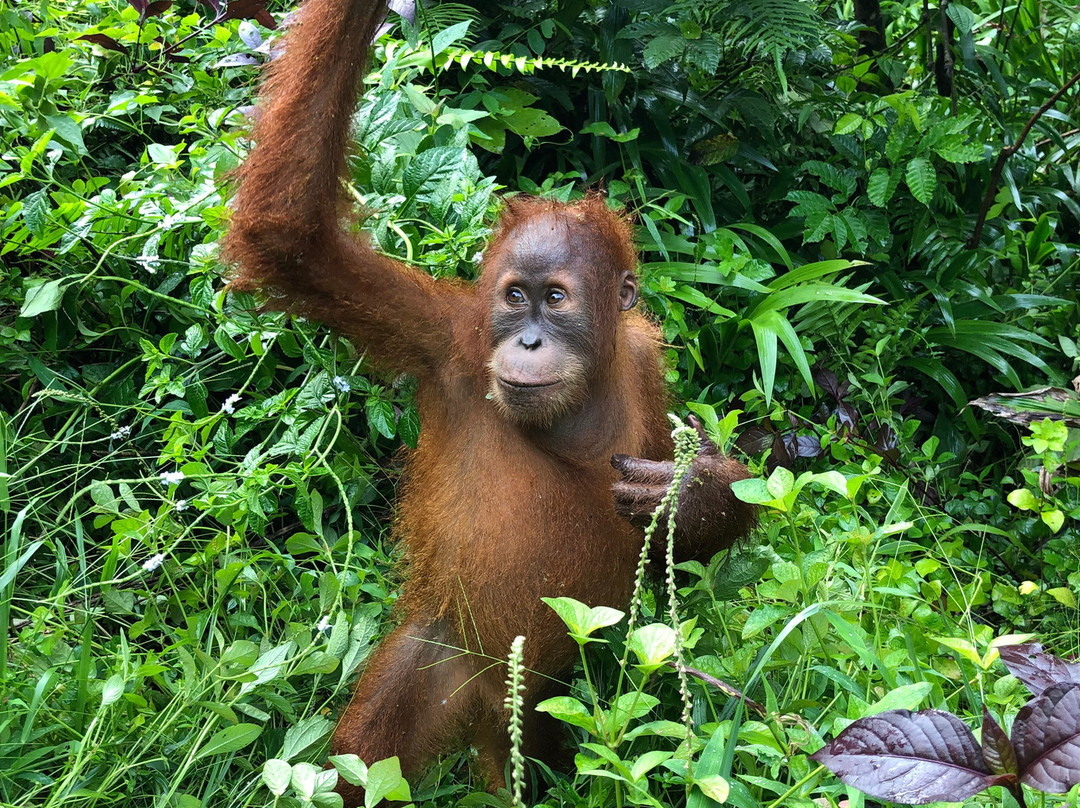 Wisma Batu Mandi主图