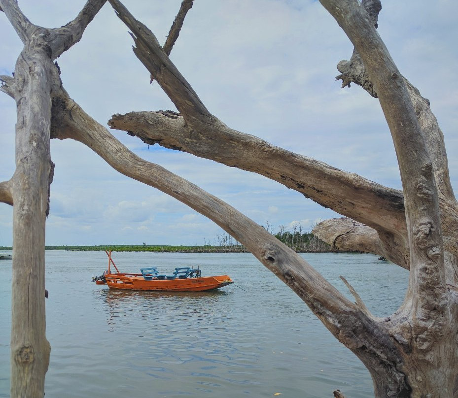 Praia de Macapá景点图片