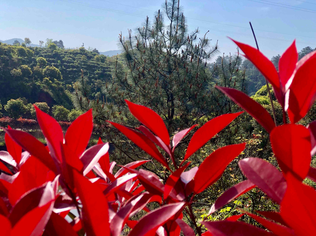 黄山屯溪山城-黄山市必去景点