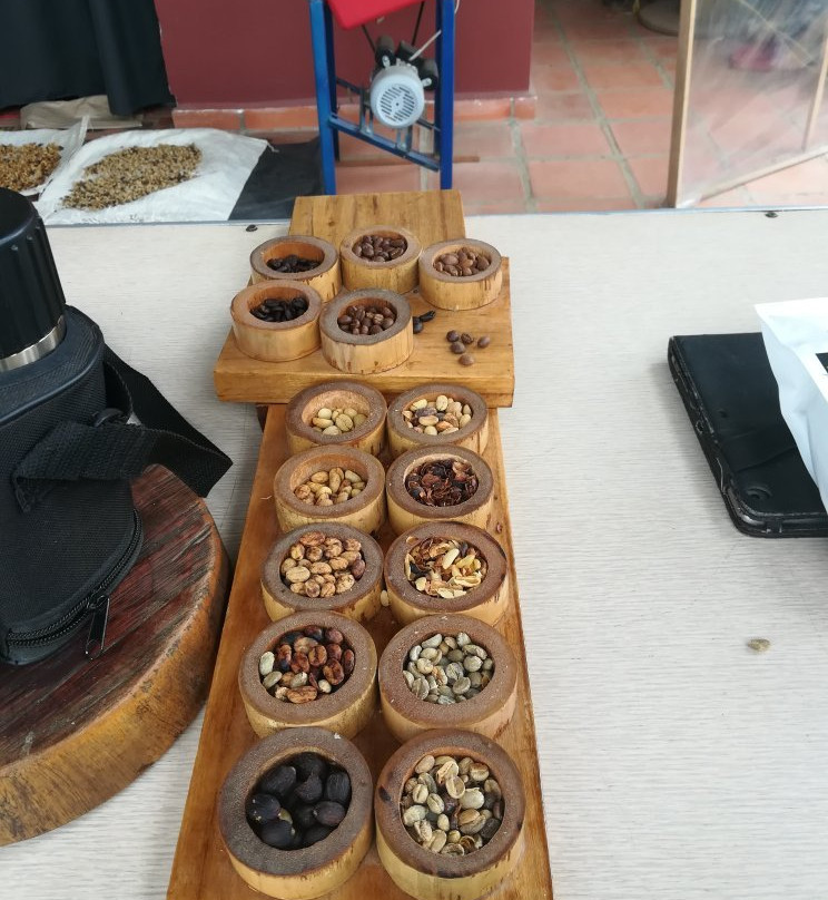 Finca Momota-萨伦托必去景点