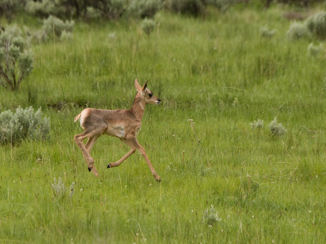 Tied To Nature-艾兰帕克必去景点