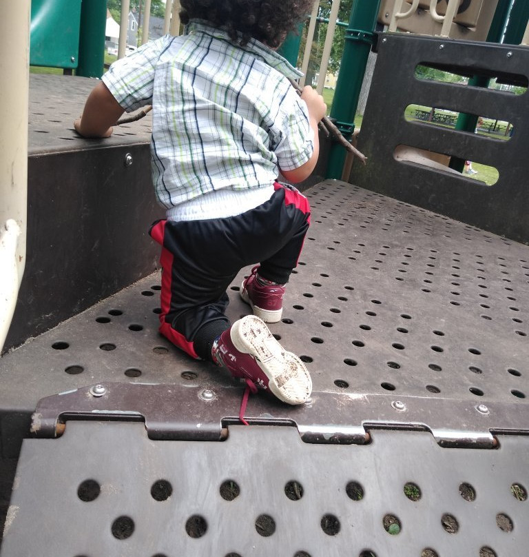 VFW Park-罗亚尔奥克必去景点