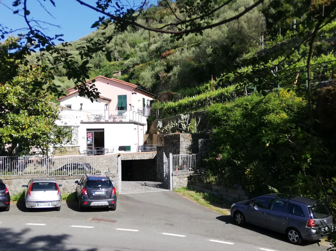 伊尔萨拉瑟诺酒店主图