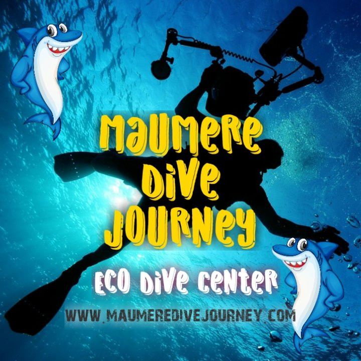 Maumere Dive Journey景点图片