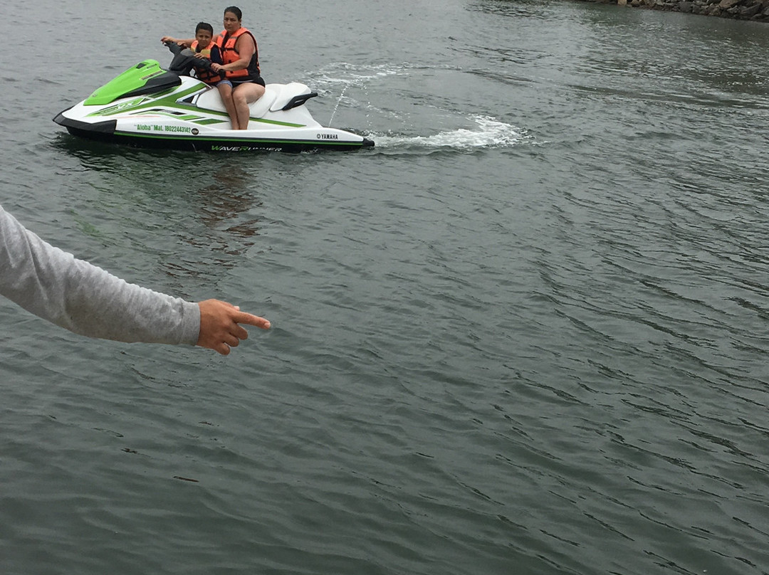 Nuevo Vallarta Parasailing-新瓦雅塔必去景点