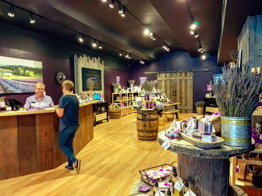 Pelindaba Lavender Savannah-萨凡纳必去景点