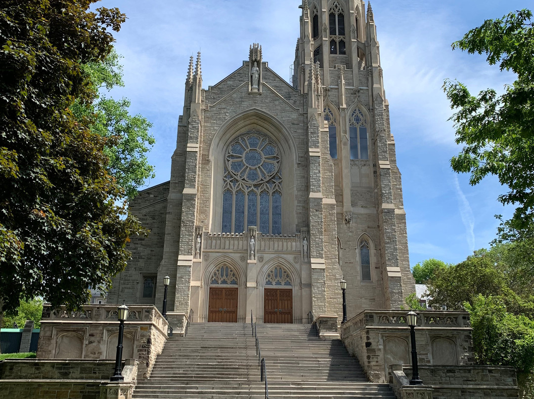 Cathedral Basilica of Christ the King景点图片