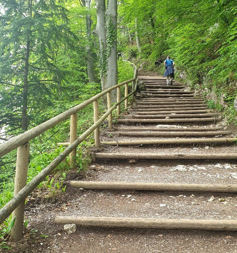 Tischofer Hoehle-库夫石必去景点