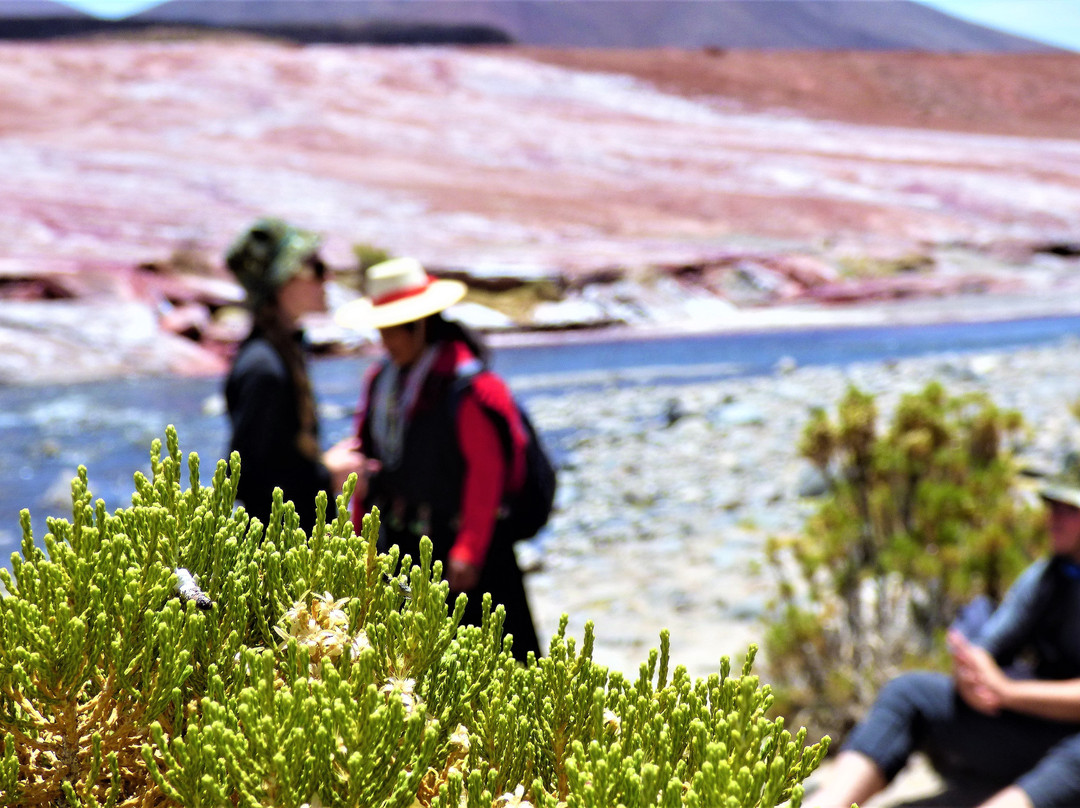Laguna Roja-阿里卡必去景点