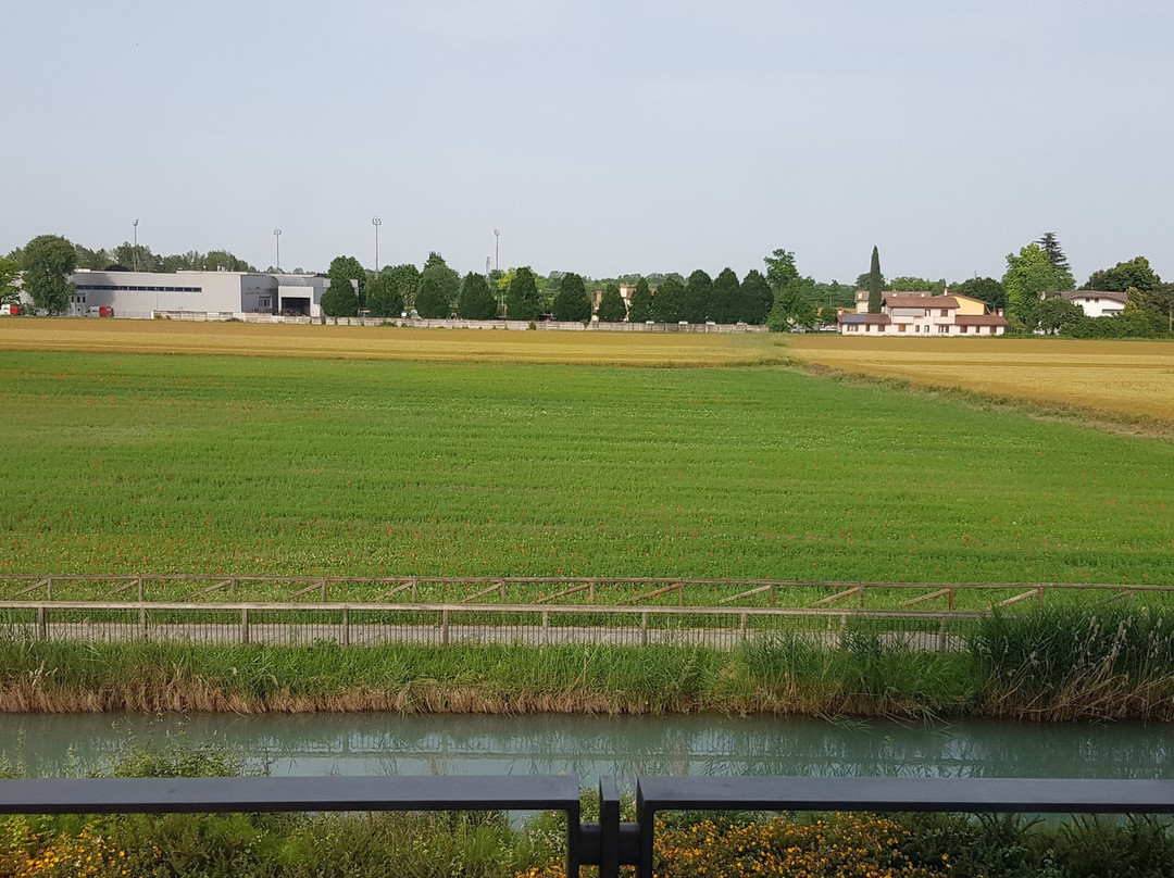 Le Terrazze Treviso Hotel & Residence主图