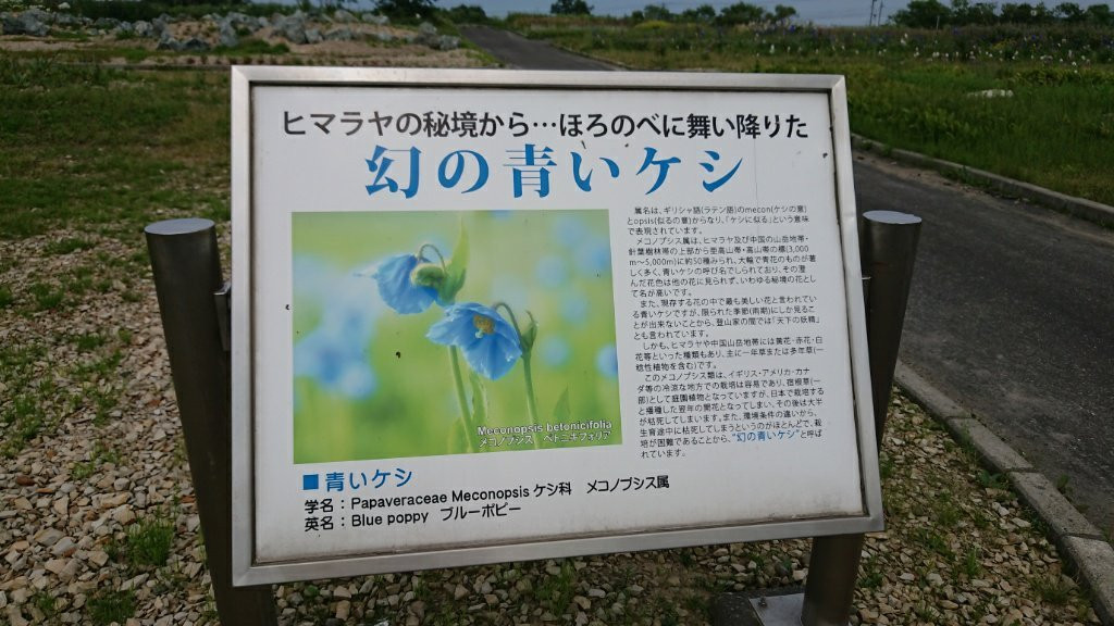 Reindeer Ranch-幌延町必去景点