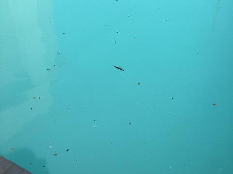 希尔顿欢朋酒店-普莱森顿主图