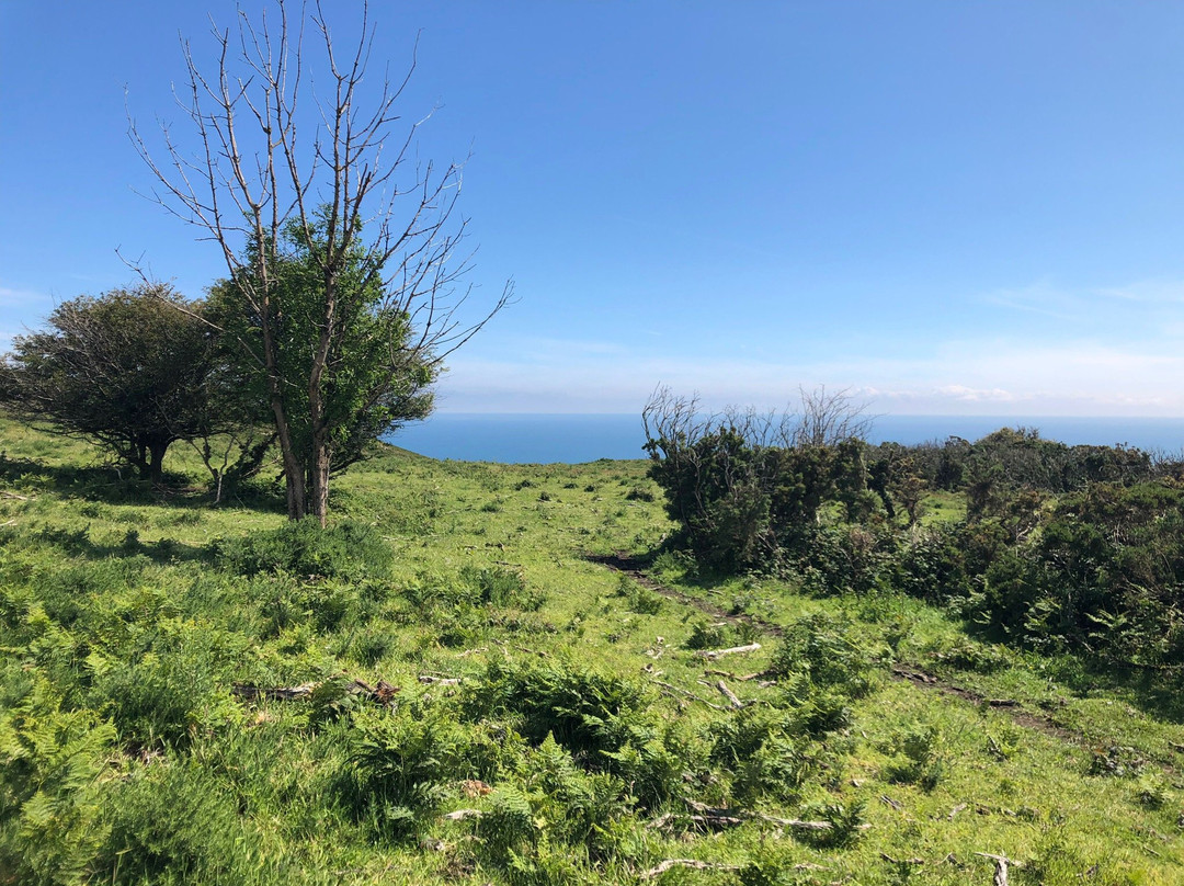 Fatbike Adventures-Wicklow必去景点