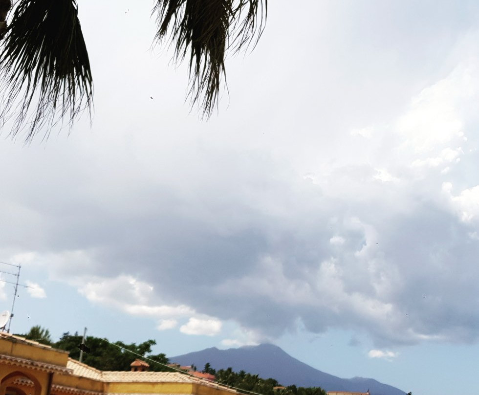 My Home in Sicily主图