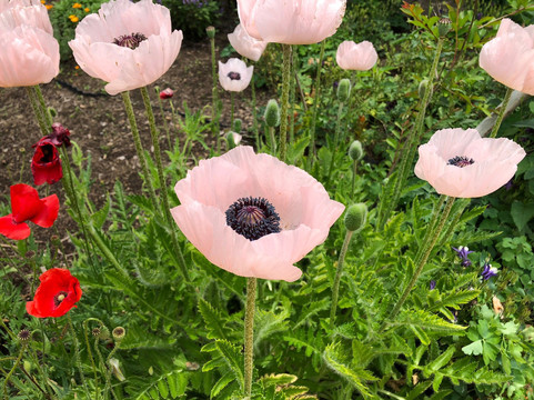 Yume Harvest Farm-小诸市必去景点