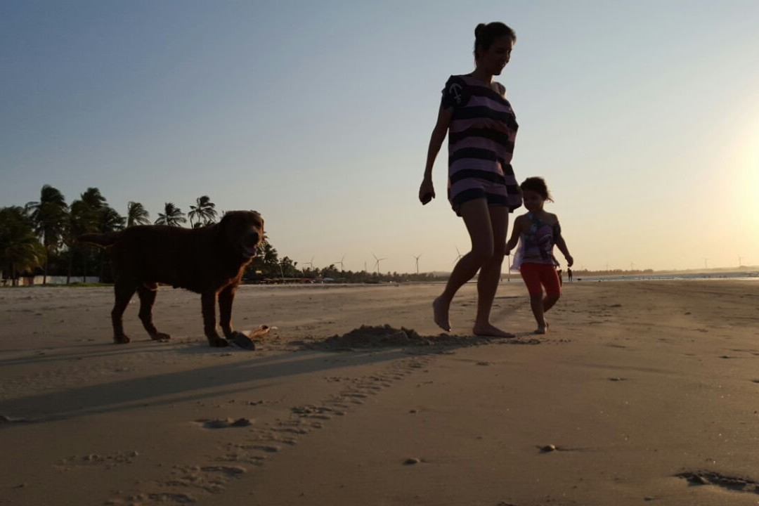 IKS Icaraizinho Kite School-Icarai de Amontada必去景点