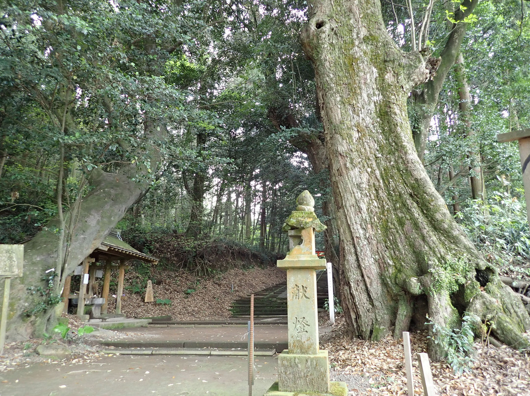 Kirishimamine Shrine景点图片
