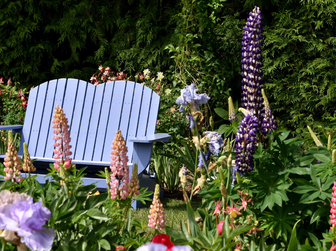 Schreiner's Iris Gardens-塞勒姆必去景点