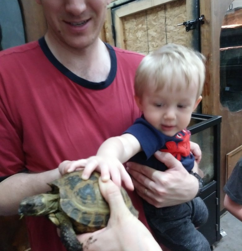 Scales and Tails Utah-西瓦利城必去景点