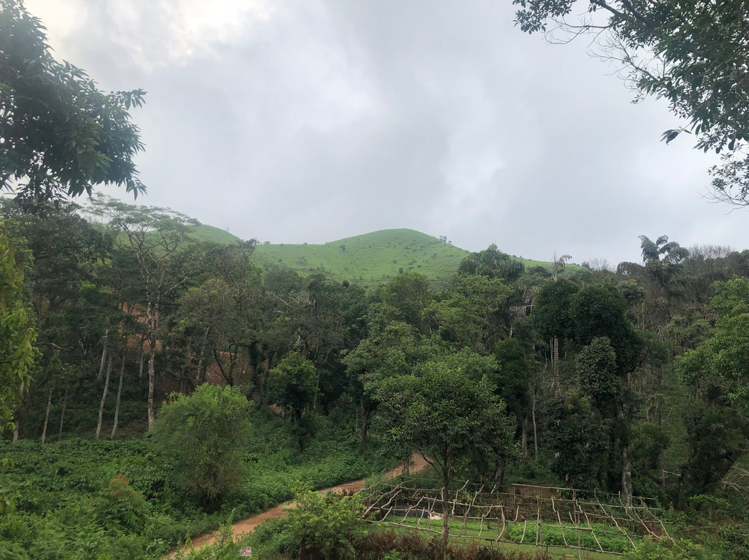 Redhouse Homestay - Hidden Valley Coorg主图