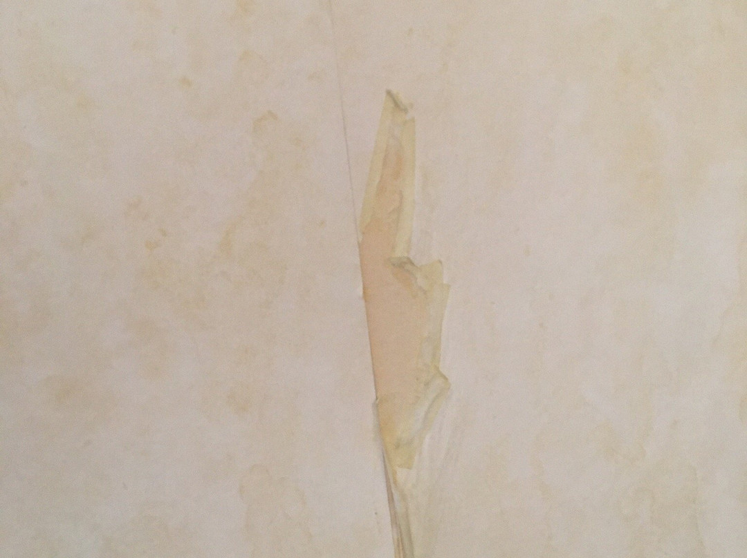 Roma Domus Hotel主图