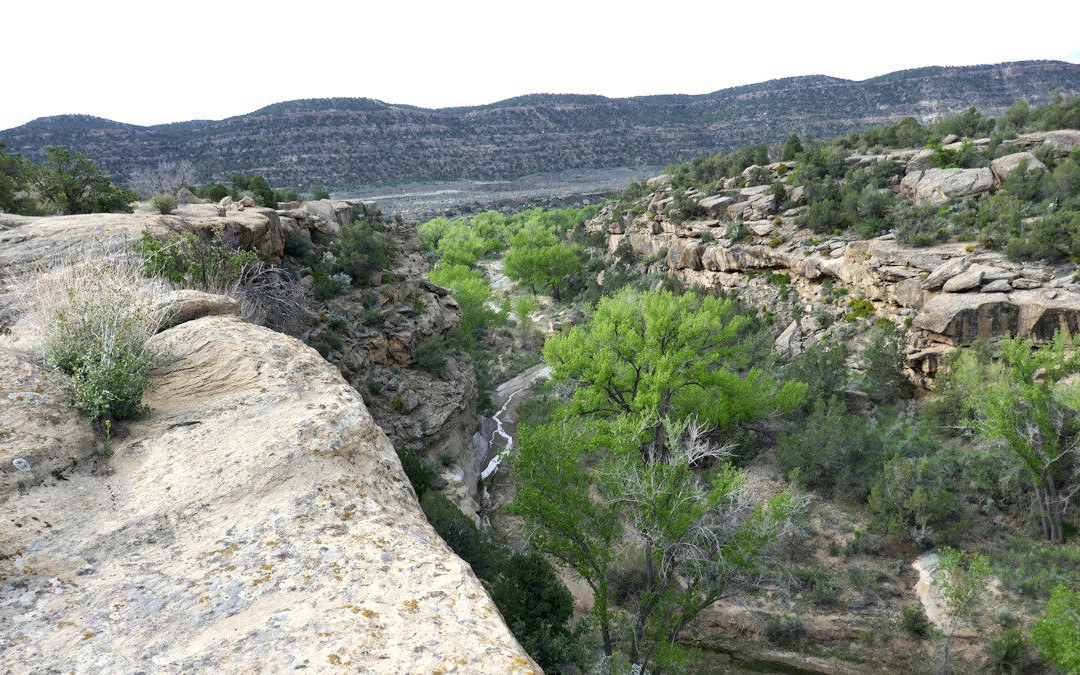 Simon Canyon Area of Critical Environmental Concern-Navajo Dam必去景点