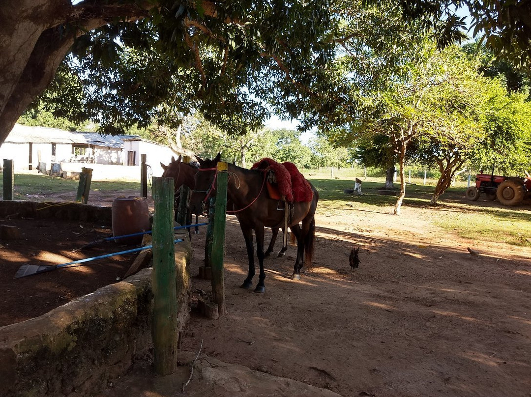 Estancia 3J Hotel Fazenda主图