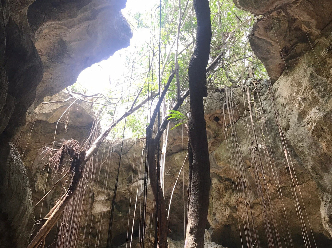 Cueva del Puente景点图片
