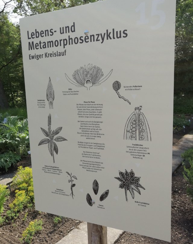 Botanischer Garten Giessen-吉森必去景点