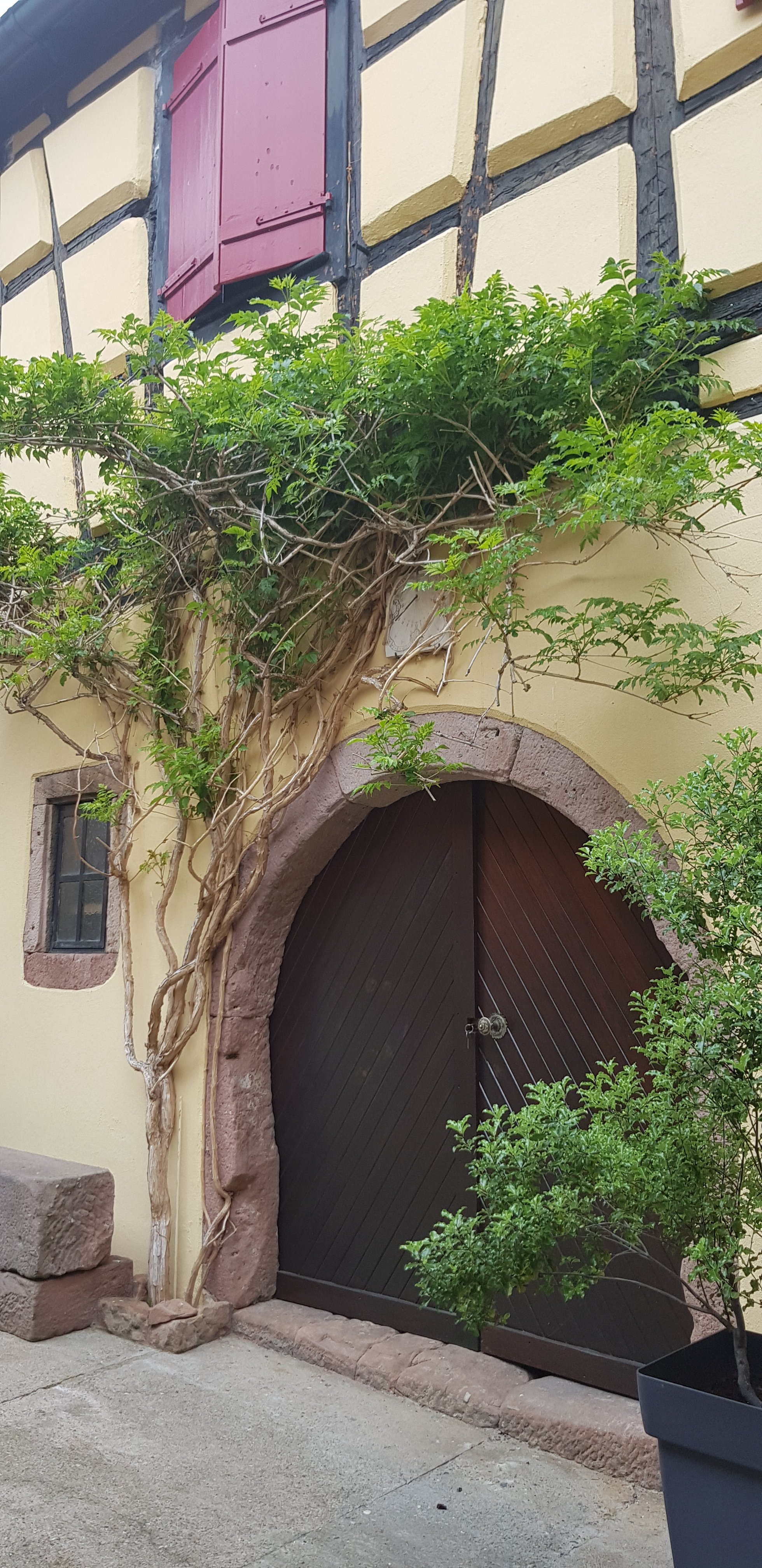 La Cour St Fulrad-家庭/游戏区
