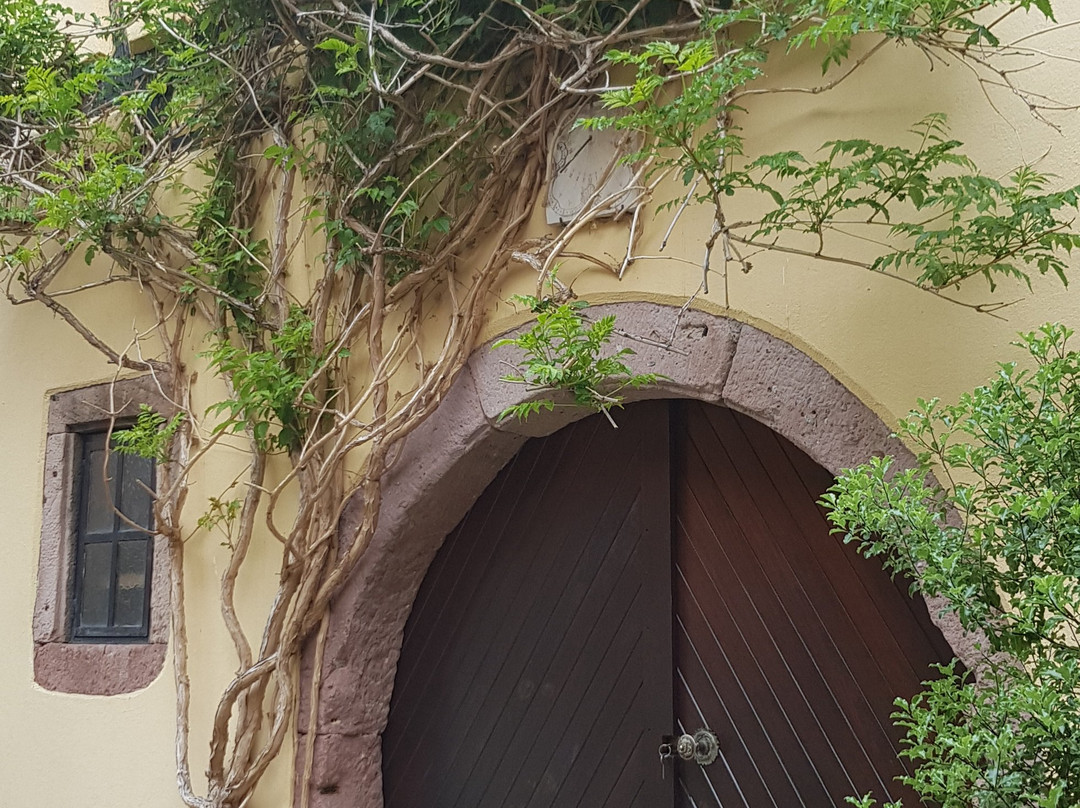 La Cour St Fulrad主图