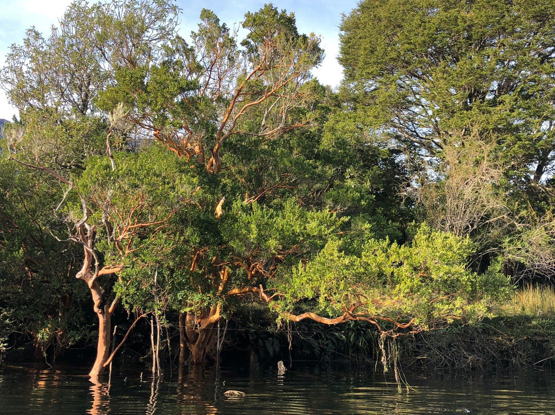 Ecoturismo la Pancha-Puerto Aisen必去景点