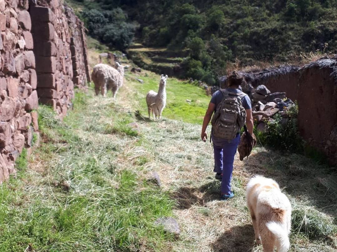 Andean Encounters景点图片