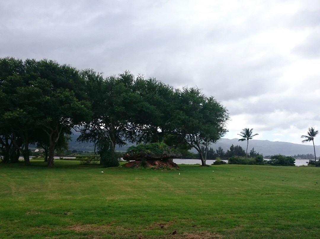 Kaiaka Bay Beach Park-哈雷瓦必去景点