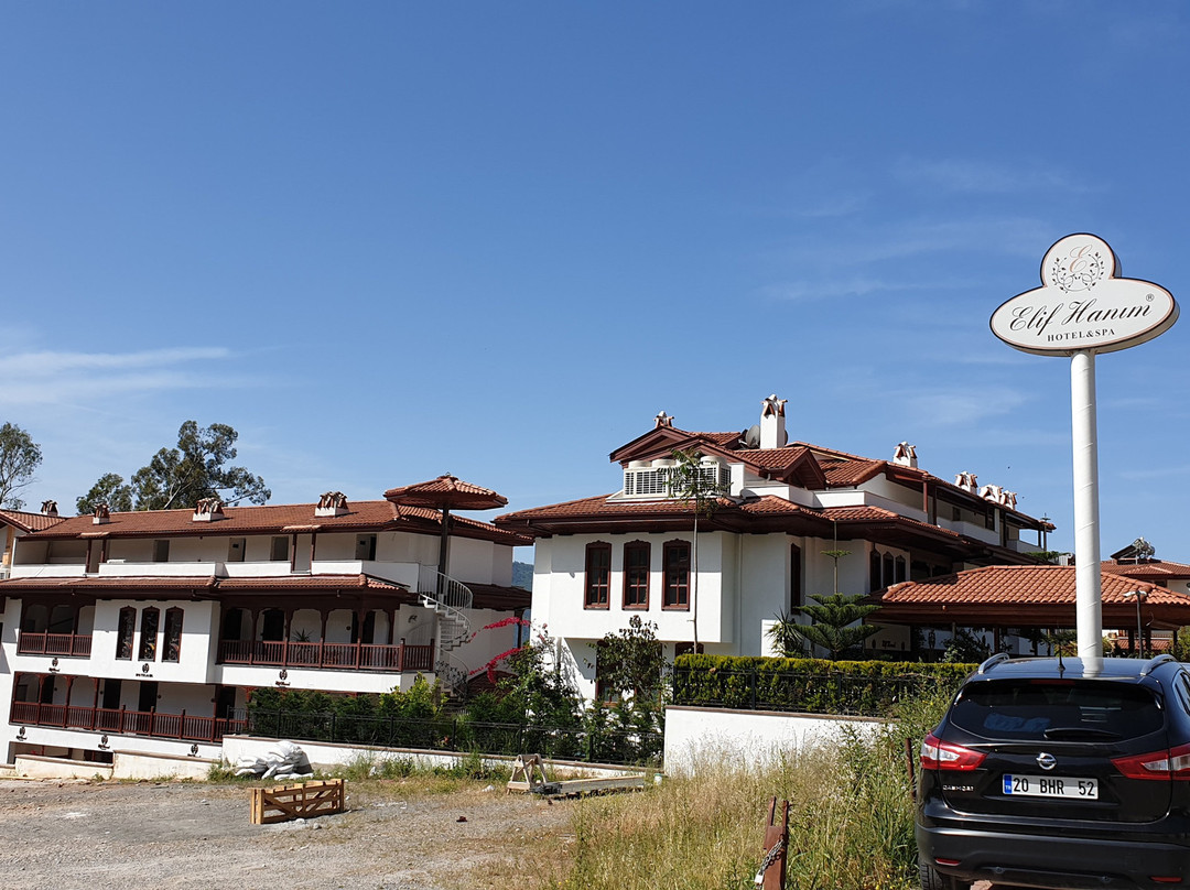 Elif Hanim Hotel & Spa主图