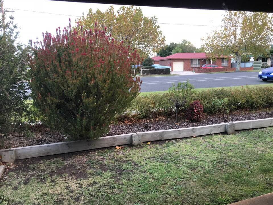 Ararat Motor Inn主图