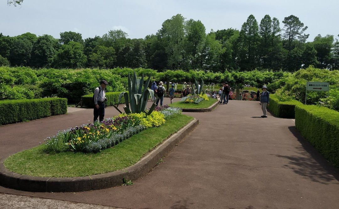 Jindai Botanical Park景点图片