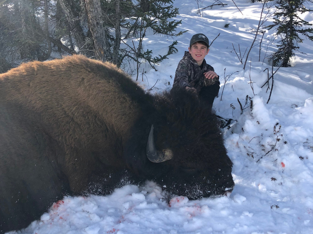 Alaska Copper River B&B主图