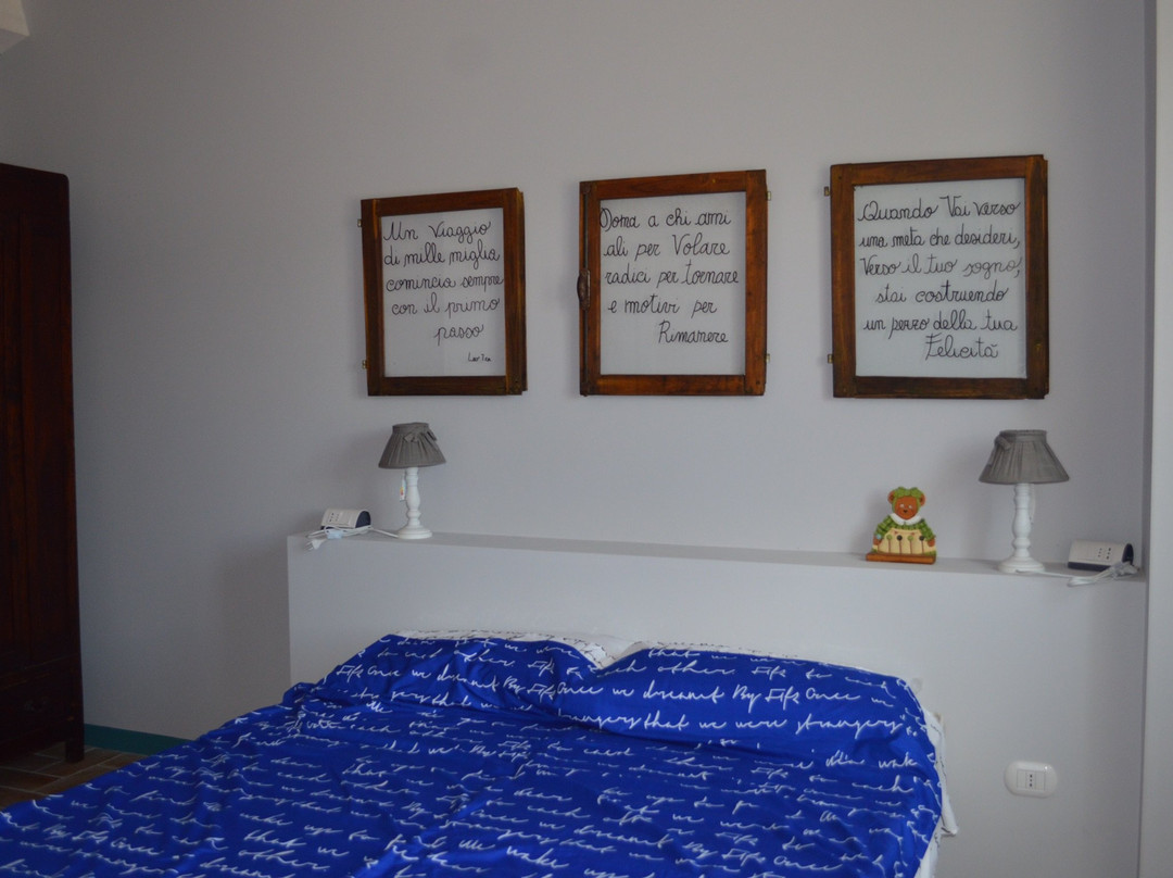 B&B Amici Country主图