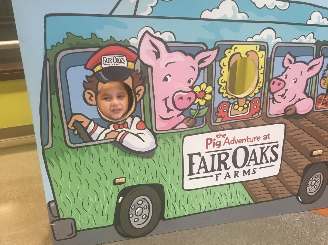 Fair Oaks Dairy Adventure景点图片