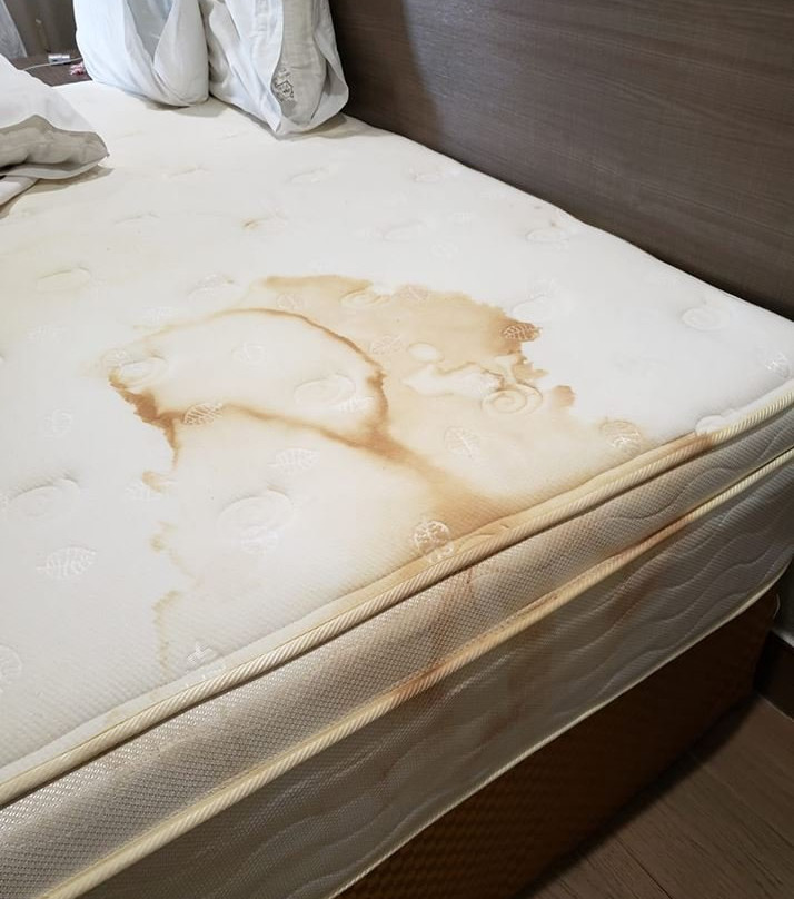 Scottish Inns & Suites Baytown