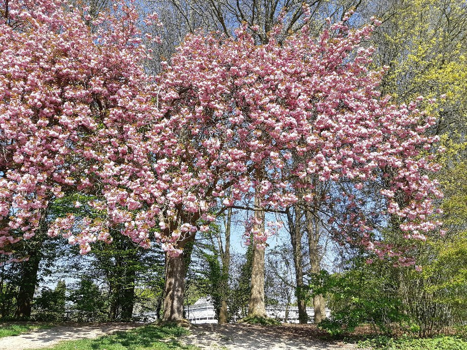 Parc de Brequigny景点图片