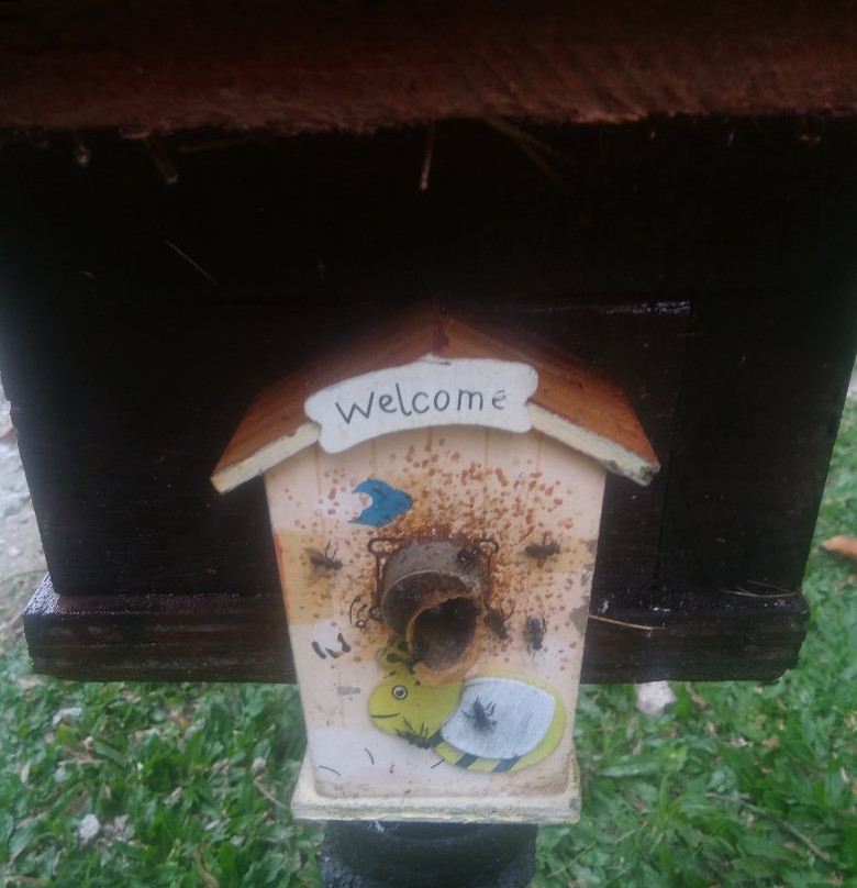 Uncle Tan Orchard Stingless Bee Farm-Pontian District必去景点