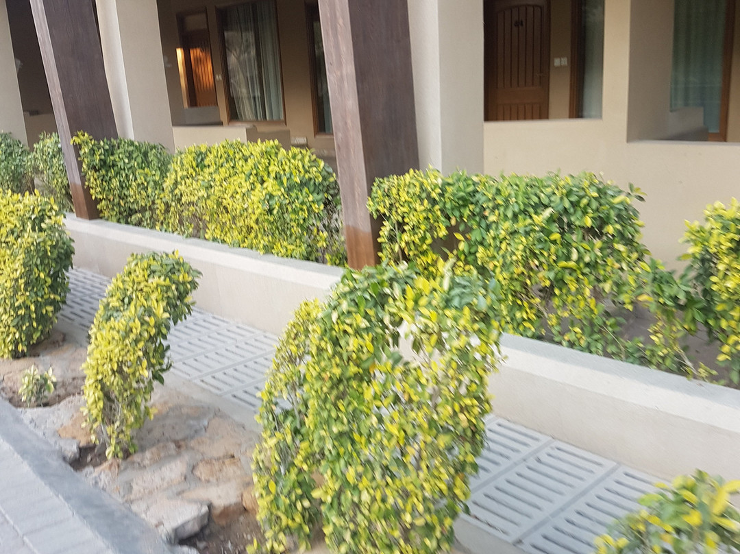 Dreamworld-卡拉奇必去景点