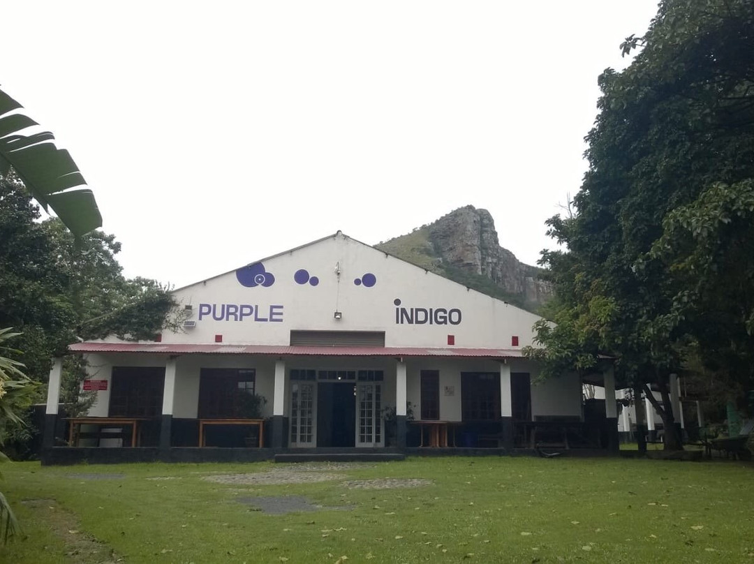 Purple Indigo
