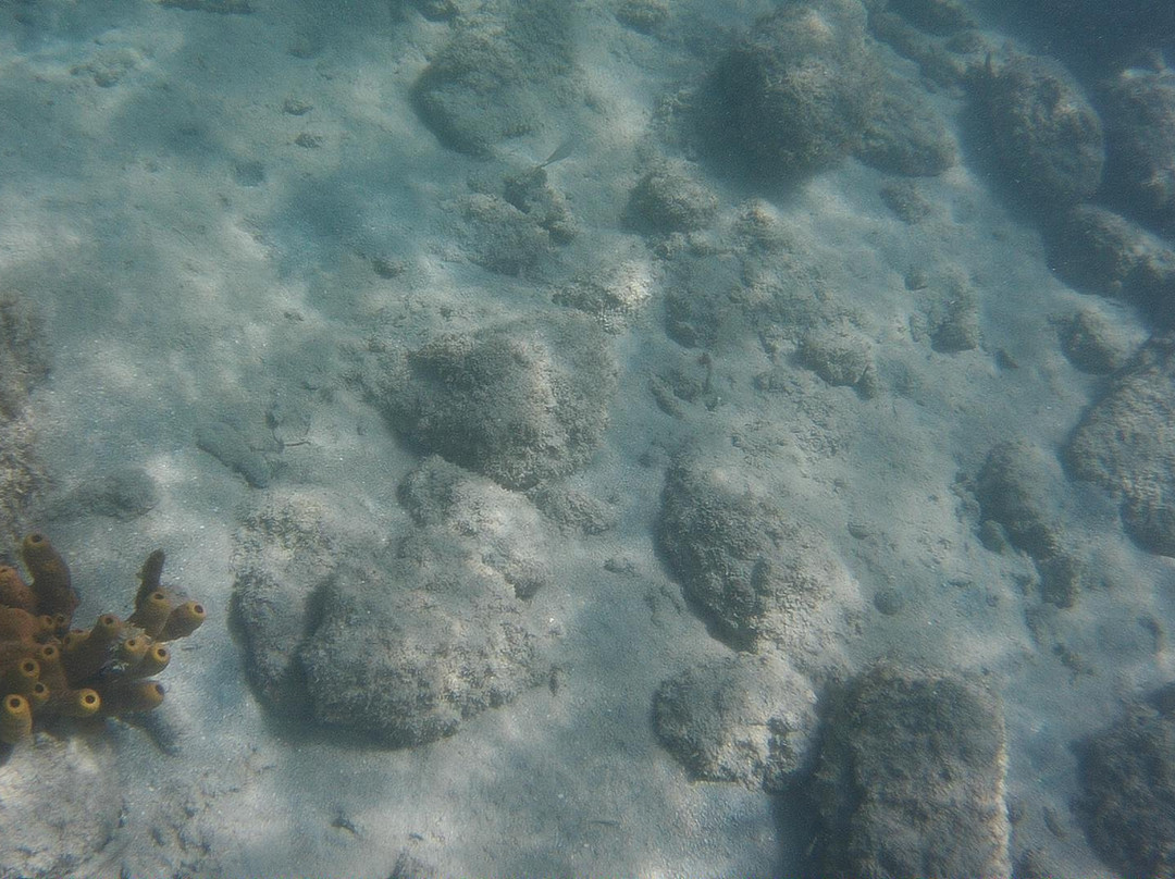 Pillars of Hercules-英吉利海港必去景点