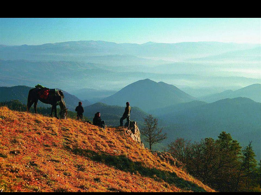 Borjomi-Kharagauli National Park-Borjomi必去景点
