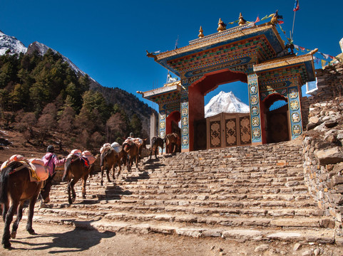 Dharma Trips-本德必去景点