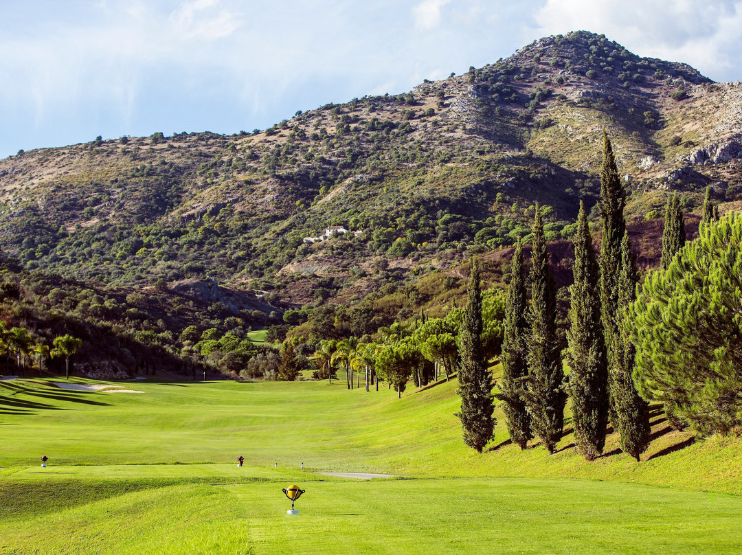 Alferini Golf景点图片