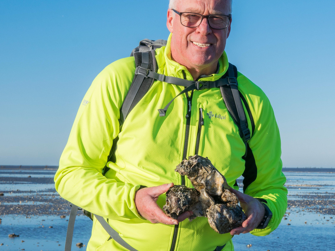 Gönn dir Watt-库克斯港县必去景点